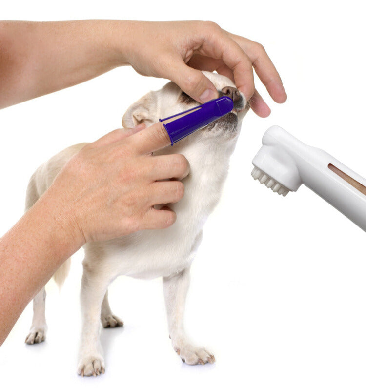 Green Meadow Pet Dental Care Set: Complete Oral Hygiene for Your Furry Friends!