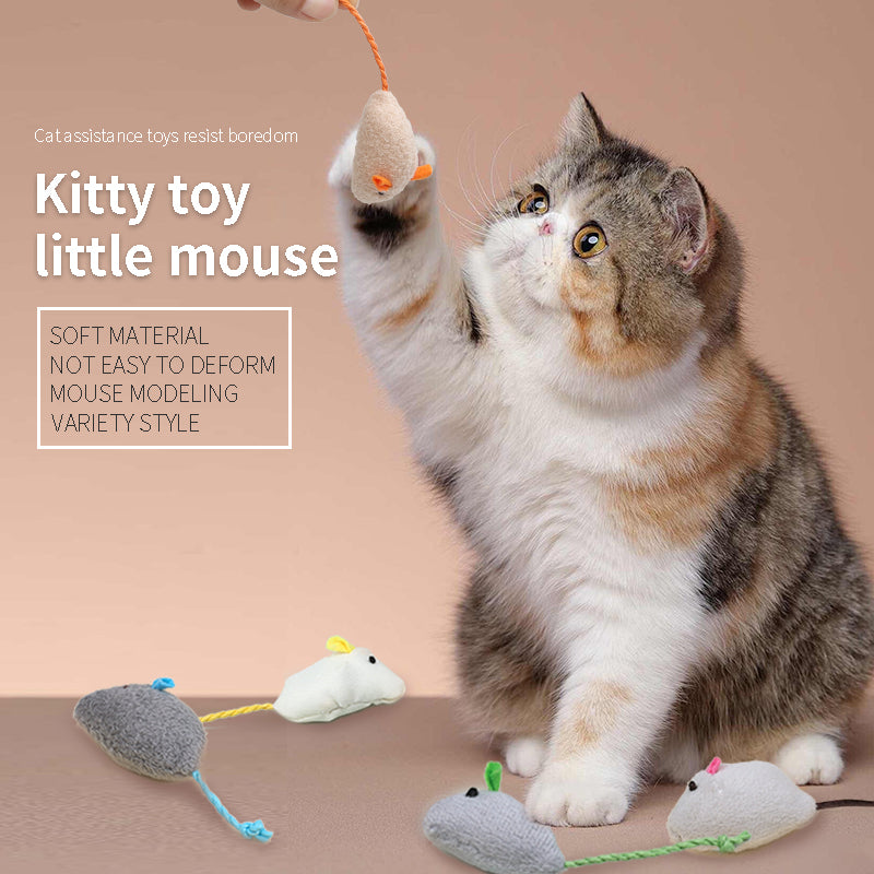 Yingte Cat Toy Set: A Whimsical Trio for Endless Pet Entertainment!