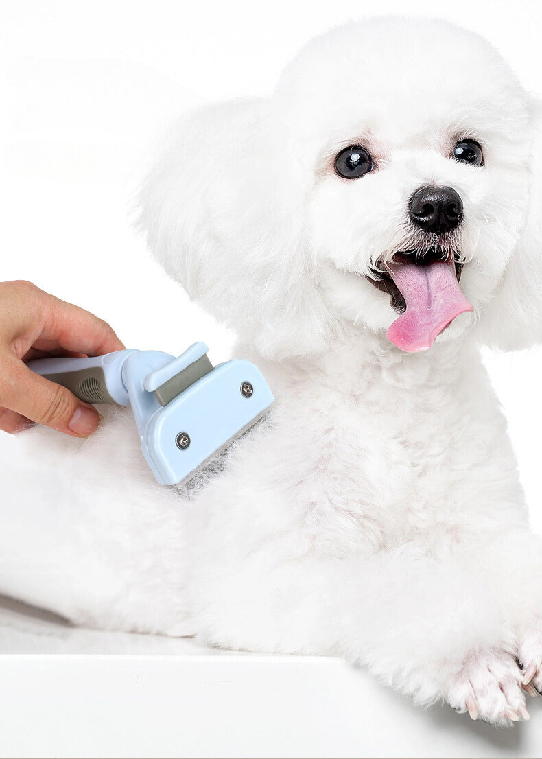 Historee Premium Pet Grooming Brush for Cats and Dogs - Say Goodbye to Tangles and Shedding!