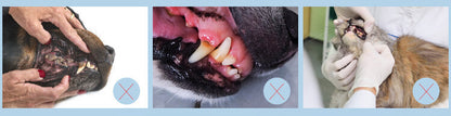 Green Meadow Pet Dental Care Set: Complete Oral Hygiene for Your Furry Friends!