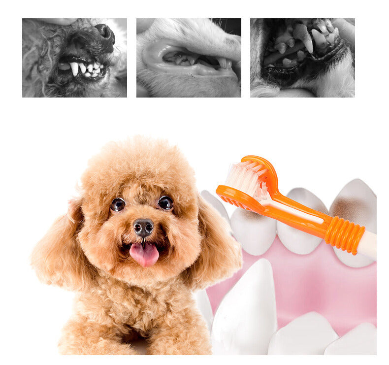Maximilian Three-Sided Pet Toothbrush Set: Complete Dog Oral Cleaning Supplies for Gentle Dental Care!