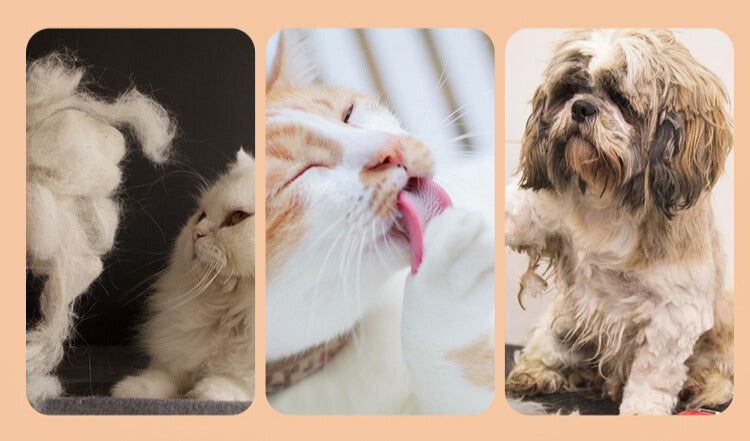 Yingte Pet Needle Comb: Versatile Grooming for Dogs and Cats in Refreshing Green!