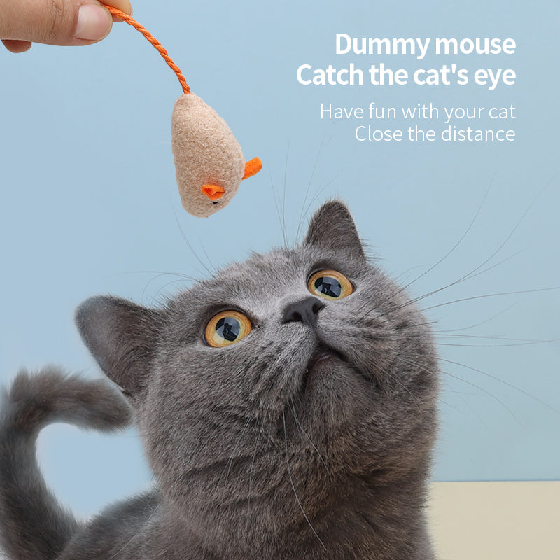 Yingte Cat Toy Set: A Whimsical Trio for Endless Pet Entertainment!