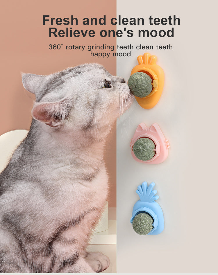Yingte Three Catnip Ball Toys: A Blissful Pastime for Your Feline Friend in Pineapple Blue!