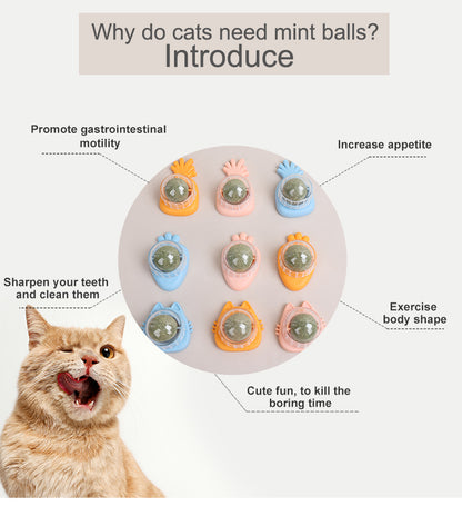 Yingte Three Catnip Ball Toys: A Blissful Pastime for Your Feline Friend in Pineapple Blue!