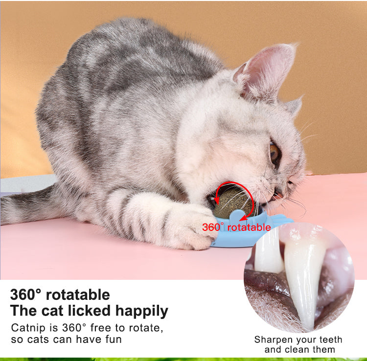 Yingte Three Catnip Ball Toys: A Blissful Pastime for Your Feline Friend in Pineapple Blue!