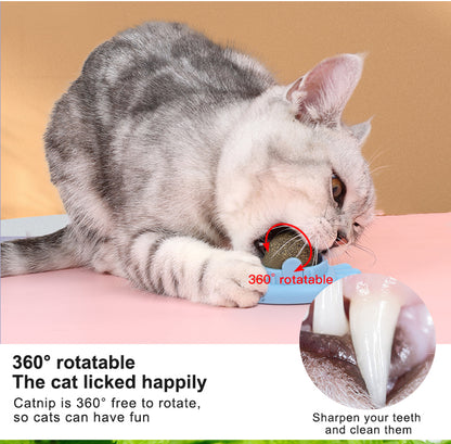 Yingte Three Catnip Ball Toys: A Blissful Pastime for Your Feline Friend in Pineapple Blue!