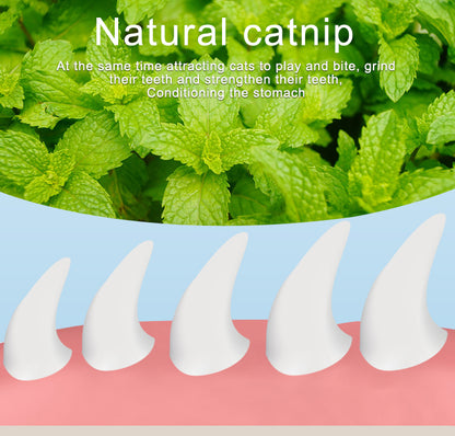 Yingte Three Catnip Ball Toys: A Blissful Pastime for Your Feline Friend in Pineapple Blue!