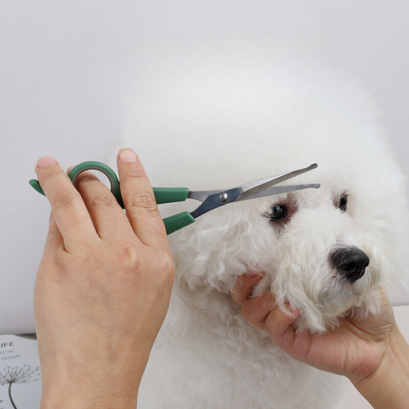 Historee Pet Grooming Scissors: Precision Round Tip Shears for Effortless and Tangle-Free Trimming