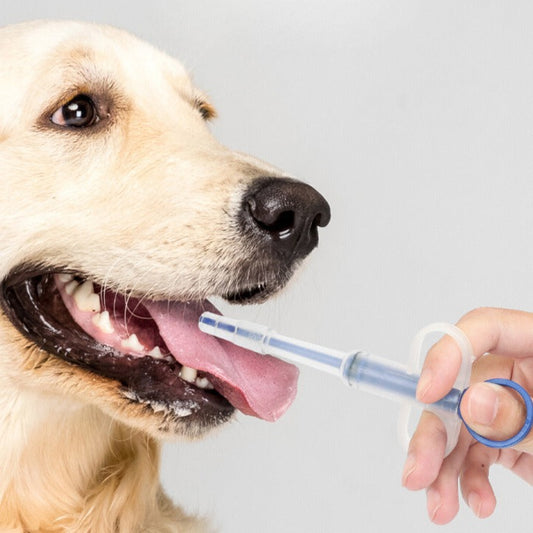 Yingte Pet Supply: Pet Medication Feeder Stick, Ideal for Dogs for Water, Food, and Medication.